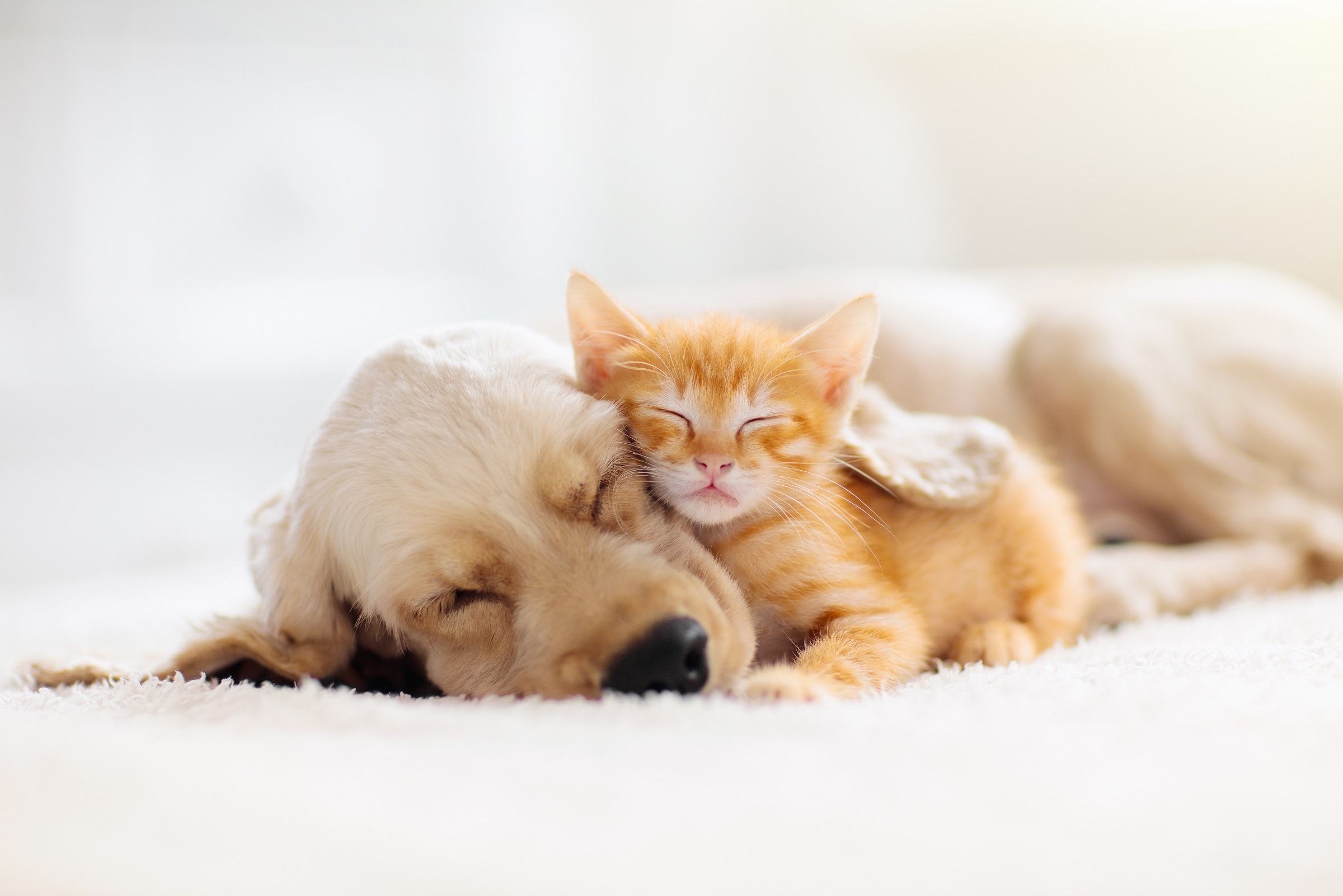 Pay off your sleep debt with these 5 simple steps