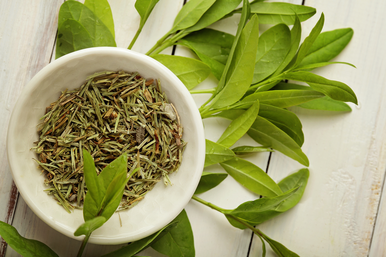GreenTeaExtract