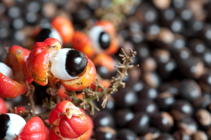 Guarana Seed Extract