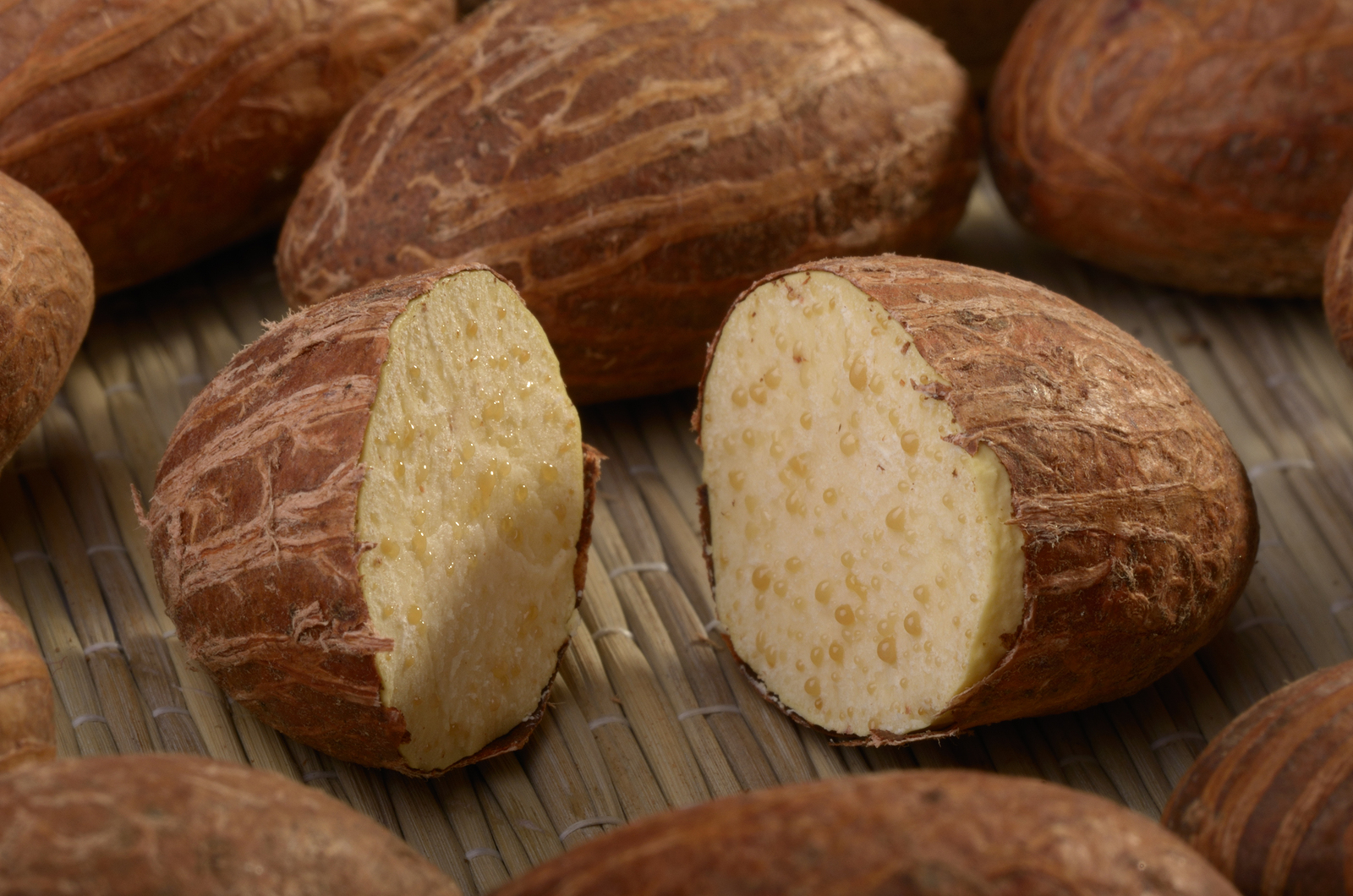 Kola Nut Extract